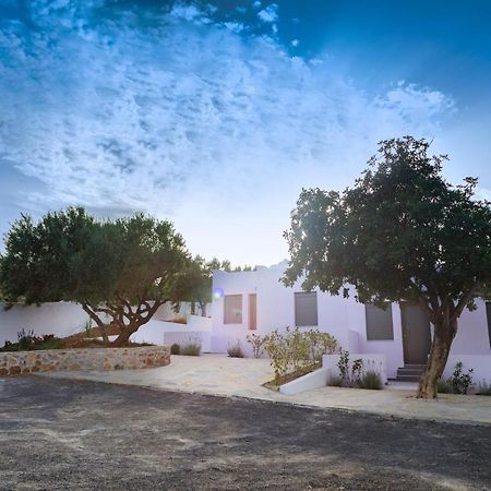Havania Villas アイオス・ニコラオス エクステリア 写真